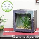 信楽焼　水槽角型ミニ（茶色） 水槽 セット　すいそう　スイソウ　陶器　 金魚鉢 水鉢 陶器 su-0212 (茶色)