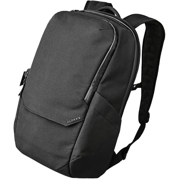 Amazon.co.jp: [アークテリクス] Granville 16 zip Backpack