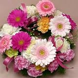 673【お祝い 母の日　誕生日】【リース】生花のお祝いのリース・ピンクミックス系