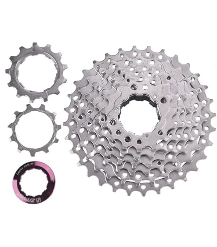 Amazon.co.jp: campagnolo(カンパニョーロ) CHORUS 11-32T 12S用