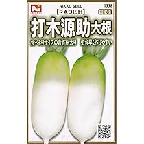 Amazon.co.jp: 日光種苗 ダイコン 打木源助大根のタネ [1558] : DIY