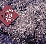 山桜―竹内敏信写真集