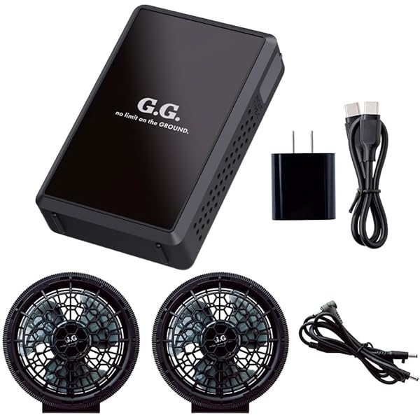 Amazon.co.jp: 桑和 G.G. 2025年 薄型 ファン 15V バッテリー