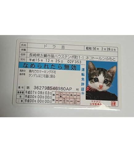 Amazon.co.jp: なめんなよ免許証キーホルダー なめ猫 12個セット 