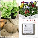 No.143 ちょっぴり草木灰の肥料 100g