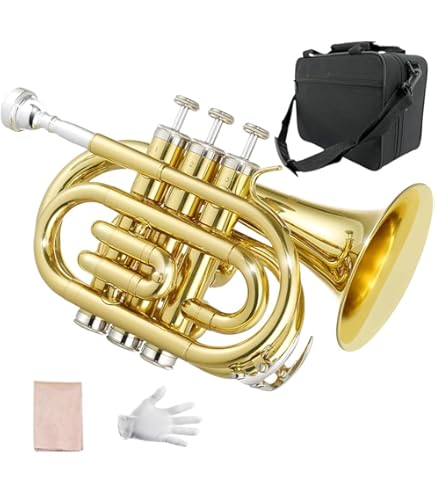 Amazon | SJGEIDMスピーカー、 専門黄銅楽器、パームトランペット