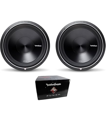 Amazon.co.jp: Rockford Fosgate T1500-1BDCP ロックフォード