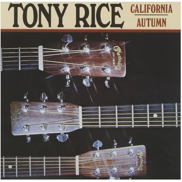 Amazon.co.jp: Guitar: ミュージック