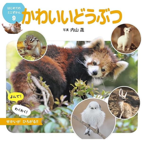 世界のどうぶつ 1-5巻セット つなげるパズル図鑑 世界の動物 1セット | 卸・仕入れサイト【卸売