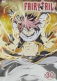 FAIRY TAIL 30