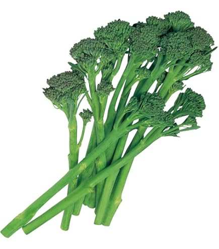 トミページです！スティックセニョール10ｋｇ！ ブロッコリー】スティックセニョール〔サカタ交配〕 | 野菜