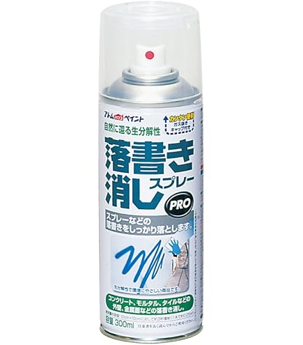 Amazon.co.jp: サンデーペイント 落書き落としスプレー 400ml クリヤー