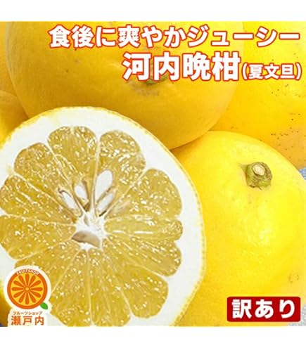 Amazon.co.jp: 【大玉サイズ】【ご家庭用】高知特産 土佐文旦 3L～4L