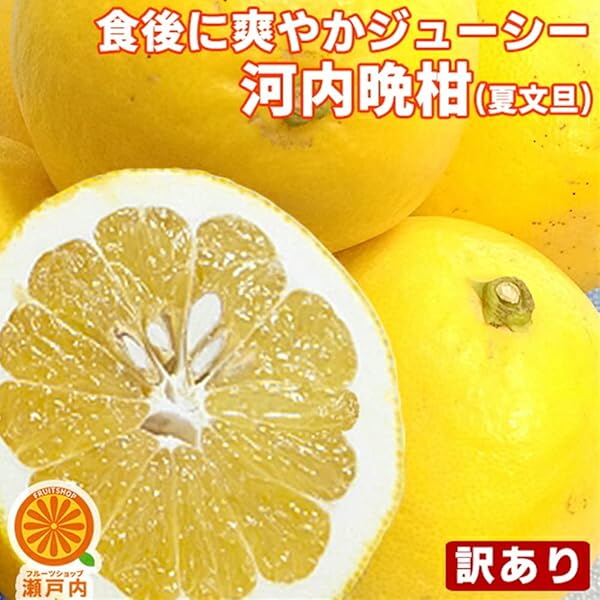 Amazon.co.jp: 【愛媛県産】訳あり 不揃い 河内晩柑10kg