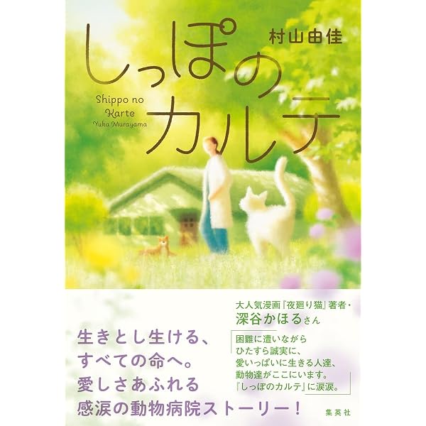 Amazon.co.jp: 街角ファンタジア : 村山 早紀: 本