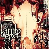 As the Palaces Burn [12 inch Analog]