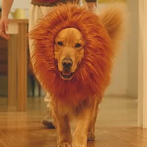 Amazon ライオン たてがみ 犬用コスチューム 犬用 ライオンコスプレネックウォーマー ブラウンm アイパーティータイム Ipartytime コスチューム 通販