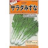 カネコ種苗 園芸・種 KS100シリーズ サラダみずな 早生千筋京水菜 野菜100 562