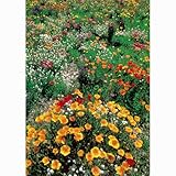 [タネ 春・秋まき草丈20～40cmの草花500平米分]カネコミックスフラワーロータイプ450g ノーブランド品