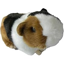 619c-4hrEEL._AC_UL210_SR210,