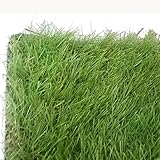 コーナンオリジナル ガーデンターフ 約1m×2m KY09-8742 1X2M