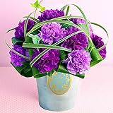 花キューピット 母の日遅れてごめんね グラマラス（ムーンダスト）