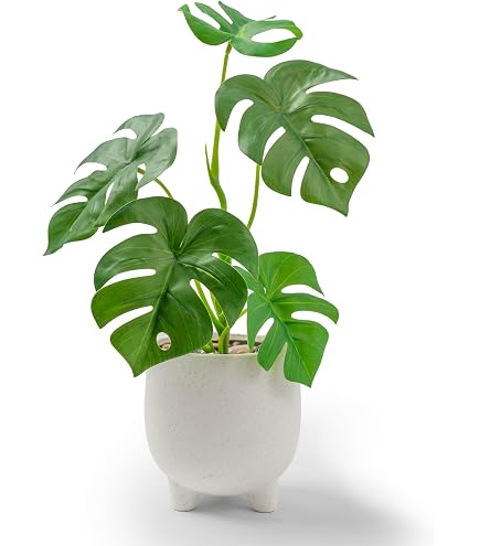 Amazon｜IKEA/イケア FEJKA/フェイカ：人工観葉植物32 cm