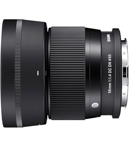 シグマ レンズ 30mm F1.4 DC DN ソニー Eマウント 単焦点 Amazon.co.jp: シグマ(Sigma) レンズ 30mm F1.4 DC DN Sony