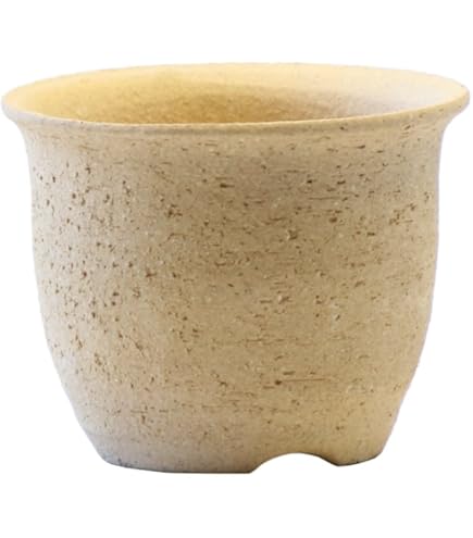 丸善　白磁水盤 丸善 白磁水盤 ◇ 盆栽・丸善造白磁水盤 ◇