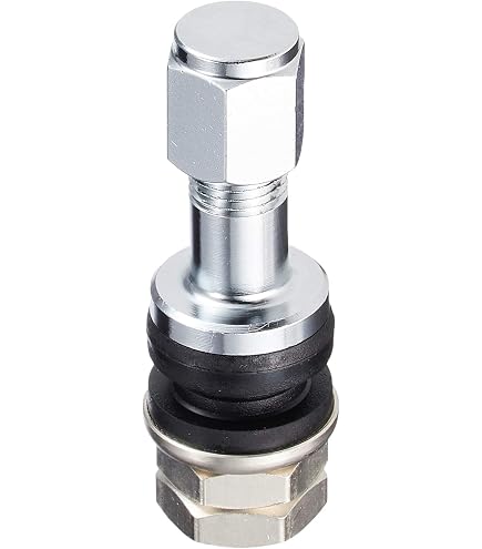 Rays gramLIGHT 57C6(AB)等 交換用エアバルブ (社外バルブ→1，1＋純正刻印キャップ) RAYS gramLIGHTS Volk 交換用エアバルブ (社外バルブ→1 57C」ホイールの