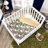新しいPrettyコレクションRaccoon Baby Boys Blanket with Sherpa Very Softy厚暖かい、( 42.94 x66.98」)