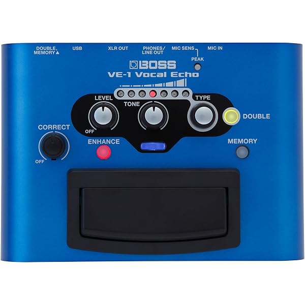 Amazon.co.jp: Mooer ムーアー MVP1 Autuner ディレイ リバーブ ピッチ