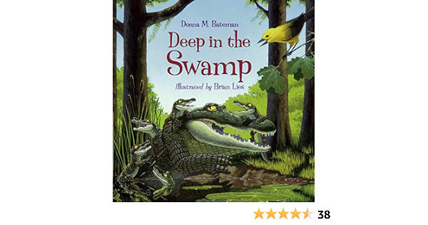 Amazon Deep In The Swamp Bateman Donna M Lies Brian Water Amazon Deep In The Swamp Bateman Donna M Lies Brian Water