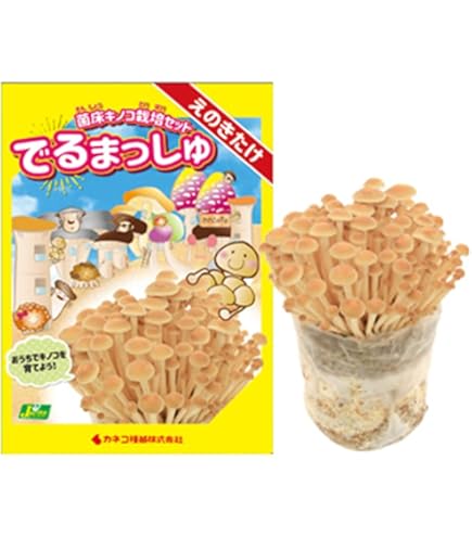 Amazon.co.jp: おさわり探偵なめこ栽培キット《ワルなめこ》big
