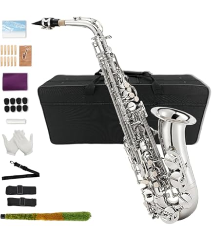 Amazon | H.Selmer SD20 アルトサックス マウスピース セルマー