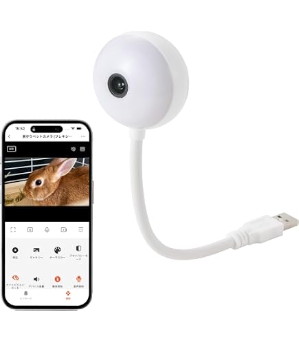 Amazon.co.jp: パナソニック 屋内タイプネットワークカメラ BB-SC384B