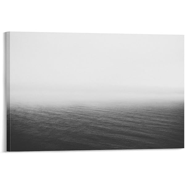 Amazon.co.jp: Hiroshi Sugimoto: Seascapes : Sugimoto, Hiroshi