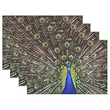 wihveプレースマットWipeableダイニングPeacock 12 x 18 inch