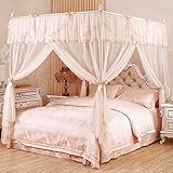 European Court床Mosquito Nets Household Stent 3つ開きドアプリンセス風密Thickening 1.5m(5 foot)