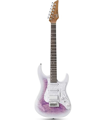 Amazon | Donner 39 Inch Electric Guitar, Designer Series DST-200