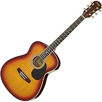 レジェンド Legend FG-15N アコースティックギター Amazon | LEGEND FG-15 Blue Shade アコースティックギター