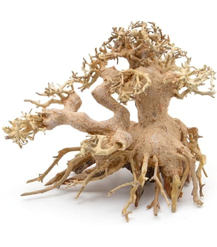 水景BONSAI　榕樹　 (がじゅまる）L 流木 縦25cm 横29cm 水景BONSAI 榕樹 (がじゅまる）L 流木 縦25cm 横29cm 五葉松/L