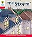 Oxford Reading Tree: Level 4: Stories: The Storm