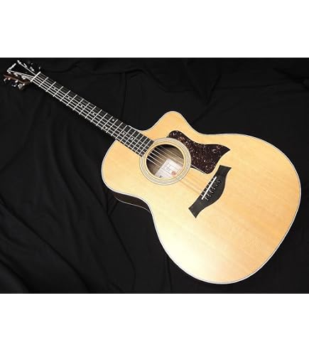 Amazon | Taylor / 114ce Natural with ES-2 Pickup System テイラー