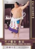 2025 大相撲カード 80 照ノ富士 春雄(横綱昇進) (サブセットカード/照ノ富士の軌跡) 「和」-NAGOMI-