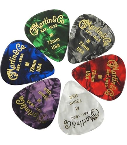 Gitaar Plectrum Met Een Hand En De Inscriptie Ik Ben Vrij Monochrome Vector Afbeelding 643070 1501