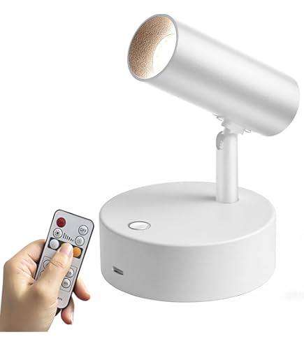 Amazon.co.jp : Herimo LEDスポットライト ブラケットライト Tpye-C