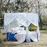 royal-ヨーロピアンスタイルスクエアトップMosquito Net three-door暗号化Thickeningホームダブルベッドプリンセススタイルステンレススチールブラケットホワイト 2.0m