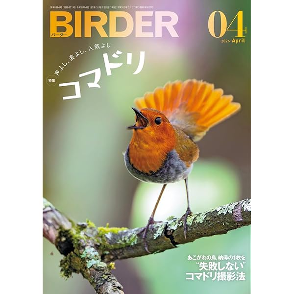 BIRDER 2024年 11 月号 [雑誌] |本 | 通販 | Amazon