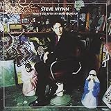 What I Did After My Band Broke Up: The Best Of Steve Wynn